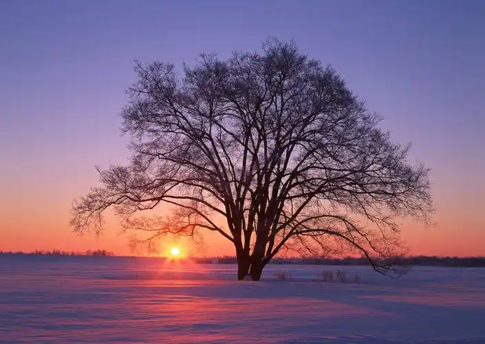 黄昏美景图片夕阳晚霞落日景色黄昏黄昏美景