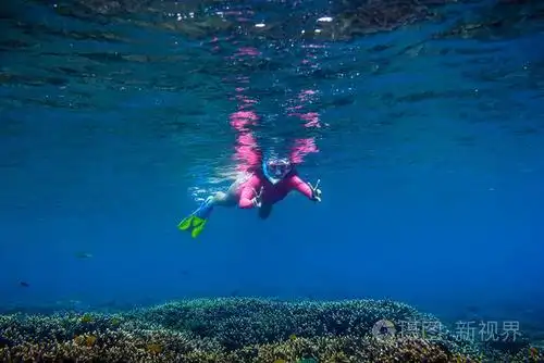 热带海洋中的年轻女子水下游泳