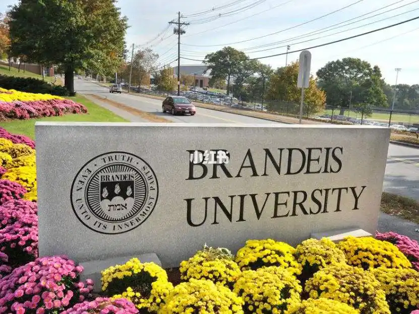 美国留学热门专业推荐:布兰迪斯大学商业分析硕士申请解析 地理位置