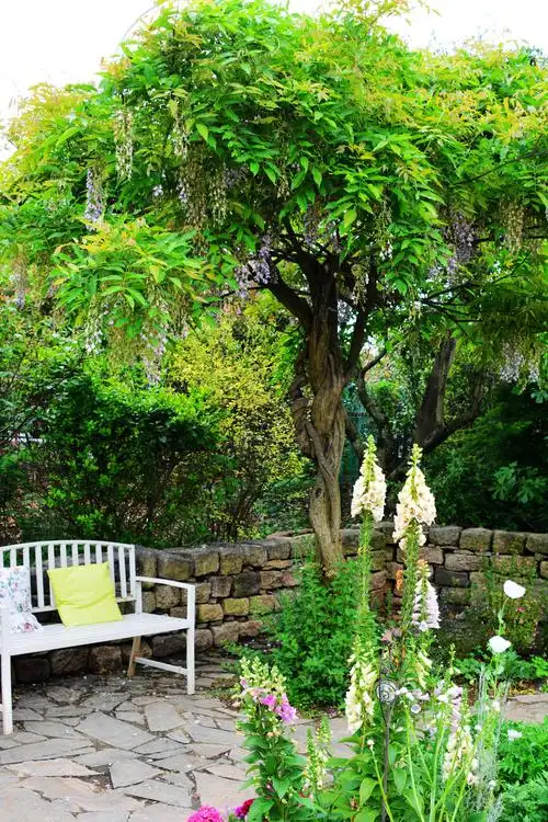 多多花园随手拍江苏无锡锡山区锡北镇新明村梅园里