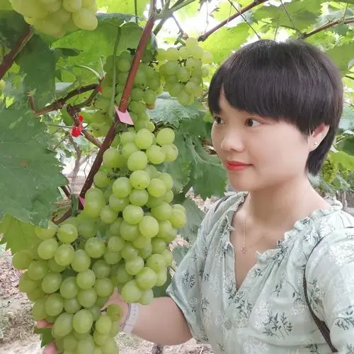 瘦瘦相许星星35岁, 女, 江西新余, 未婚, 2千-5千愿得一人心,白首不