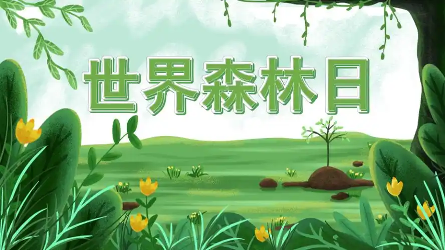 世界森林日介绍课件