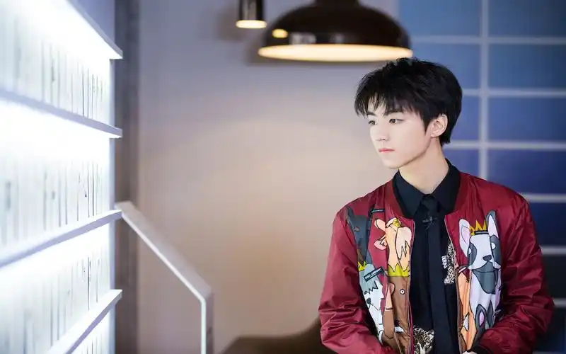 王俊凯tfboys小鲜肉写真帅气高清 简介 王俊凯