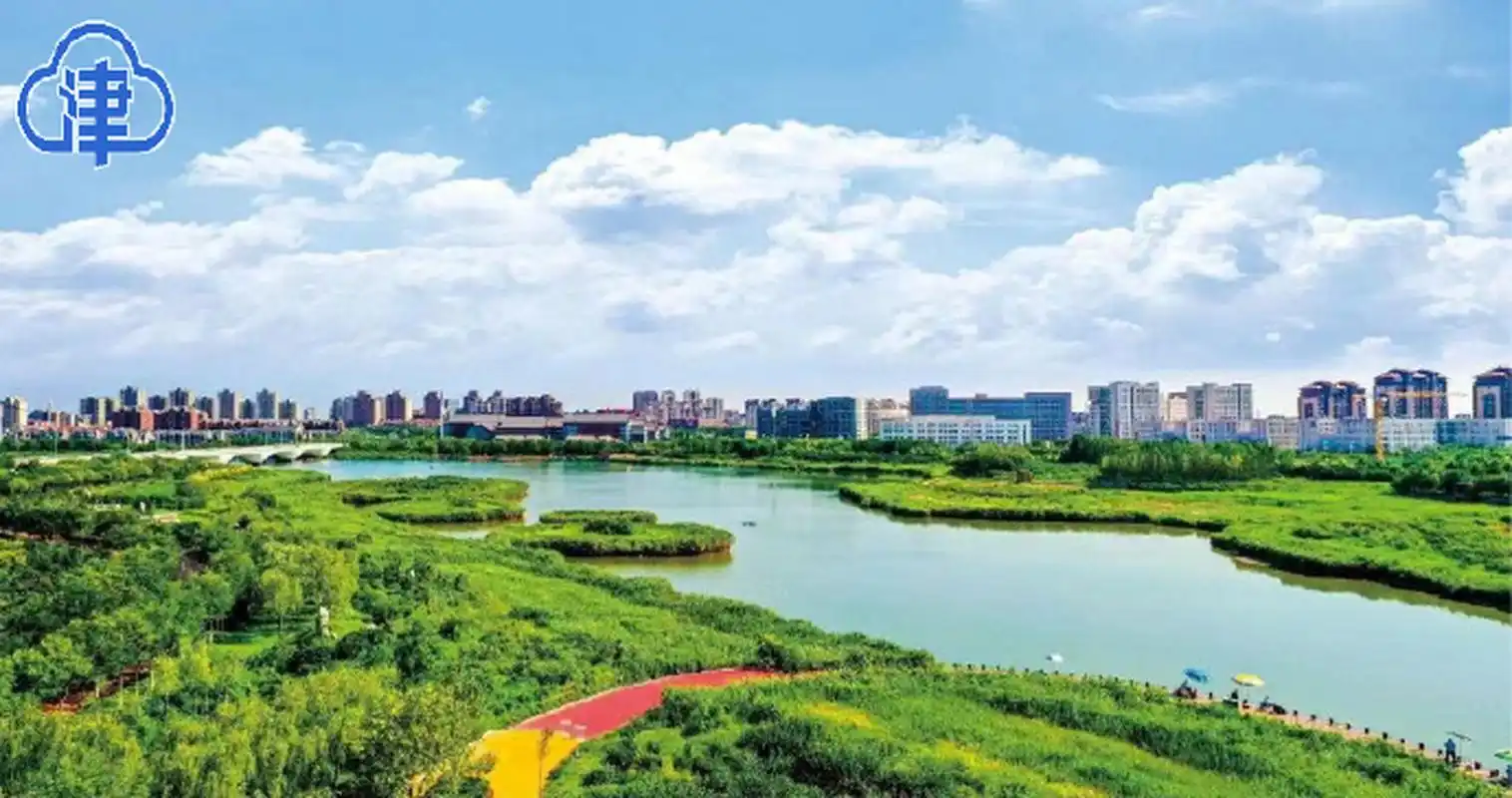 云观津城#【中新天津生态城修复堤外湿地 打造"涨潮看海,落潮看滩"亲