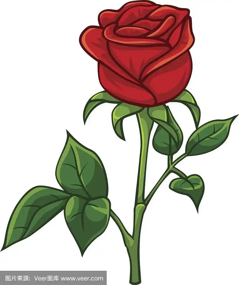 玫瑰,红色,卡通,可爱的,自然