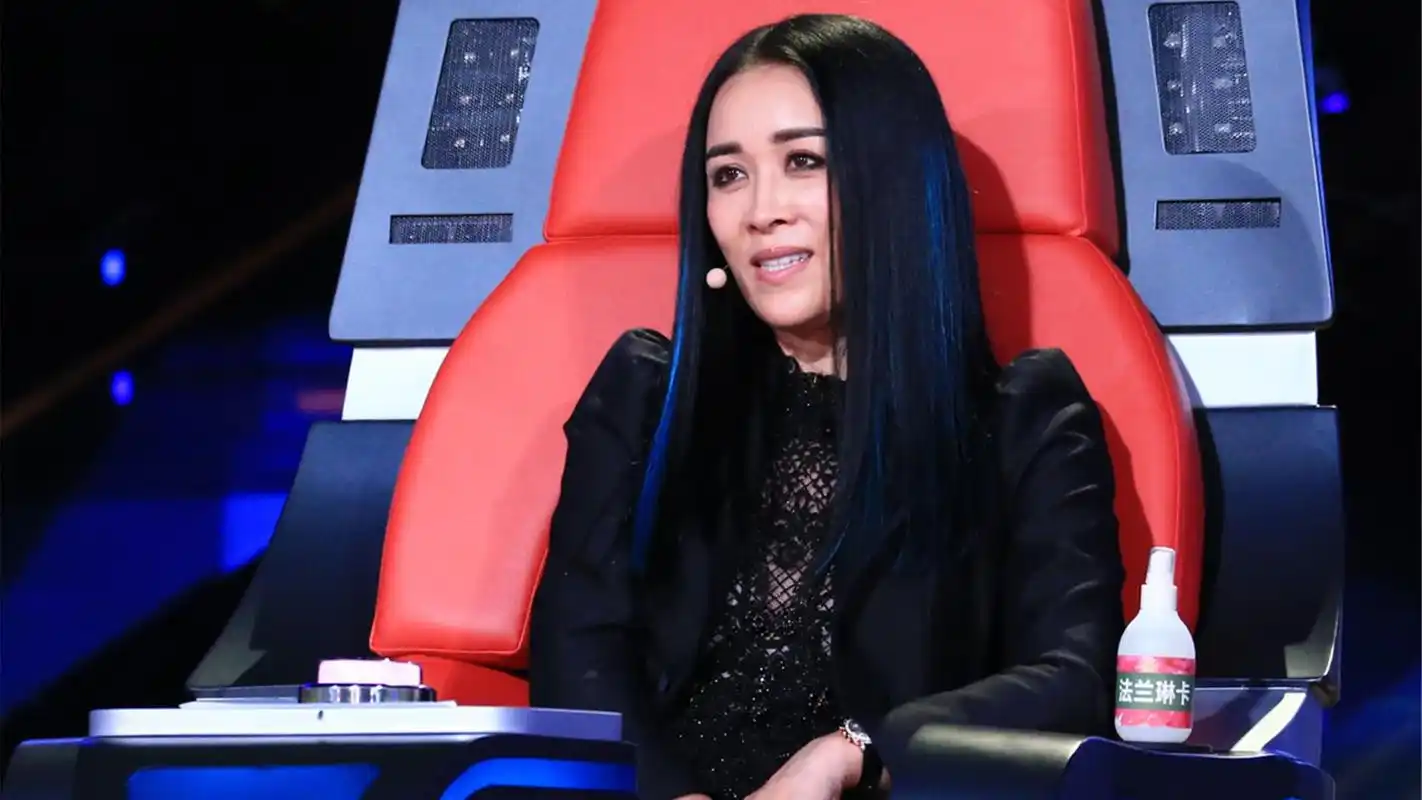 那英尴尬了!学员中国好声音翻唱刀郎的歌,导师竟全起立鼓掌!