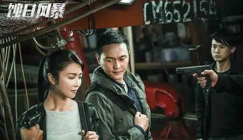 电视剧《蚀日风暴》剧情简介