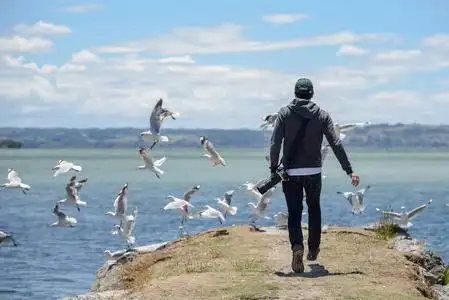 年轻男性摄影师追逐群海鸥鸟在湖附近照片