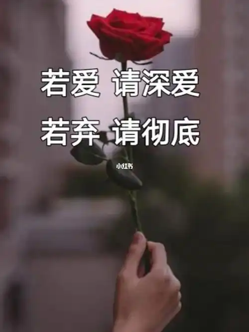 如果爱请深爱不爱请走开因为我伤不起