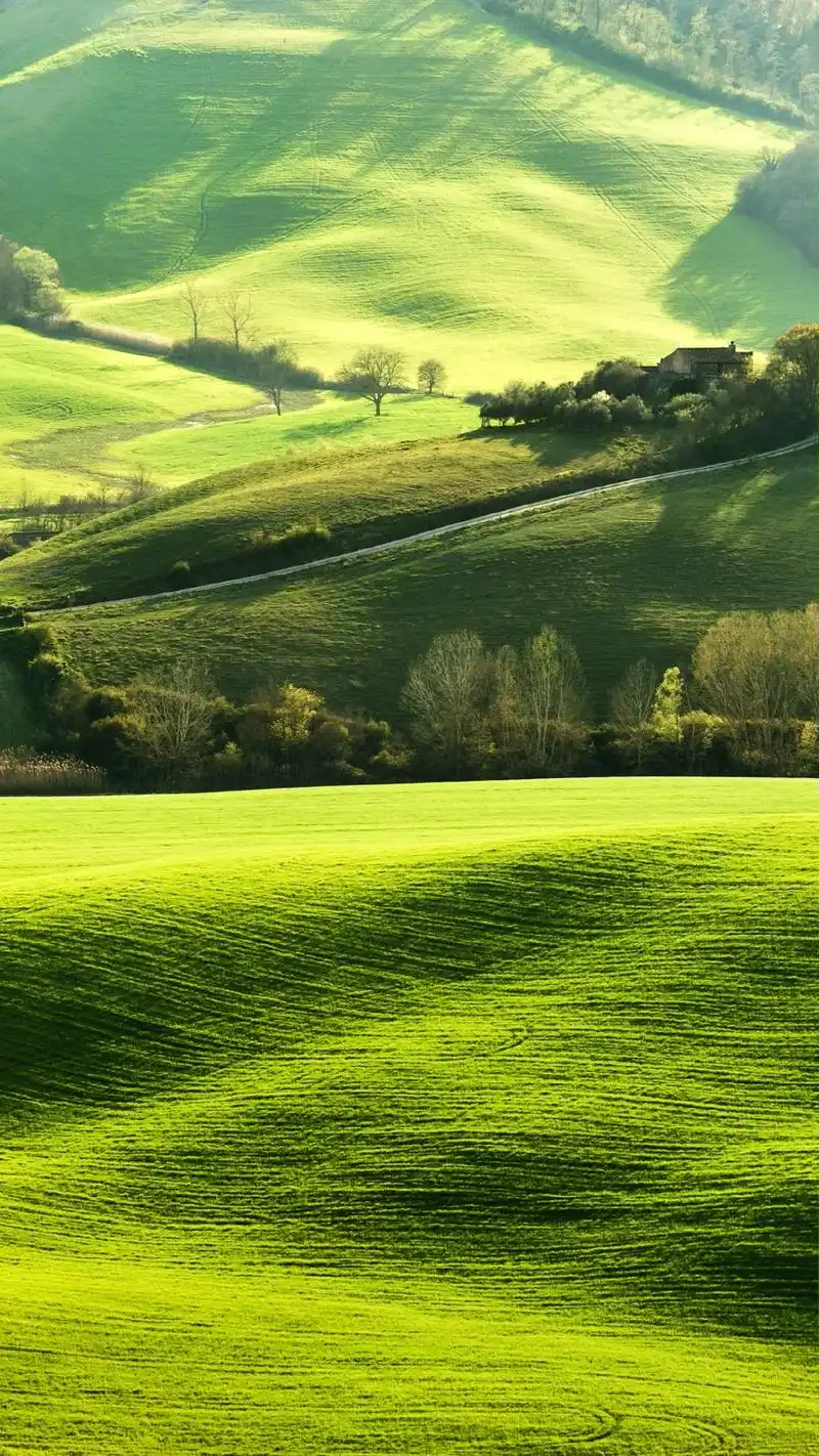 1440_2560竖版 竖屏