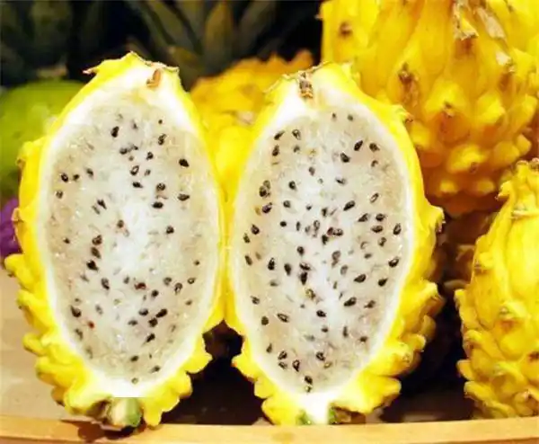 41种不常见的罕见水果图片和名字