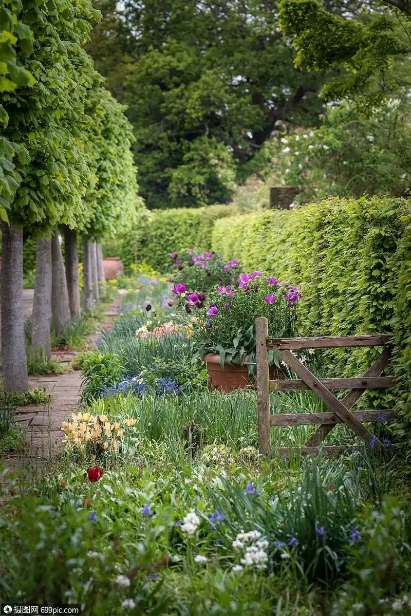 典型的英国乡村花园景观与清新的春天花农舍花园