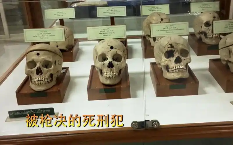 哔哩哔哩 (゜-゜)つロ 干杯~-bilibili