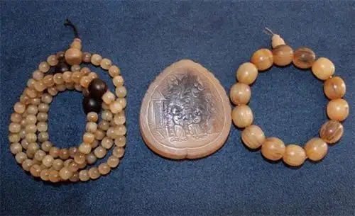 亚洲犀角真的存在过吗千年之谜探究