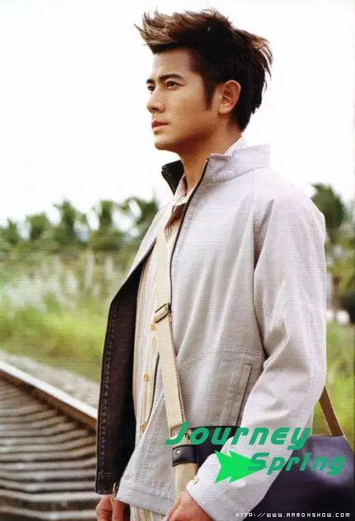 请问郭富城这个发型叫什么名字怎么弄?