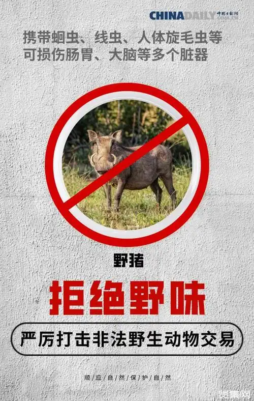 全面禁止非法野生动物交易审议通过哪些野生动物有病毒不能吃