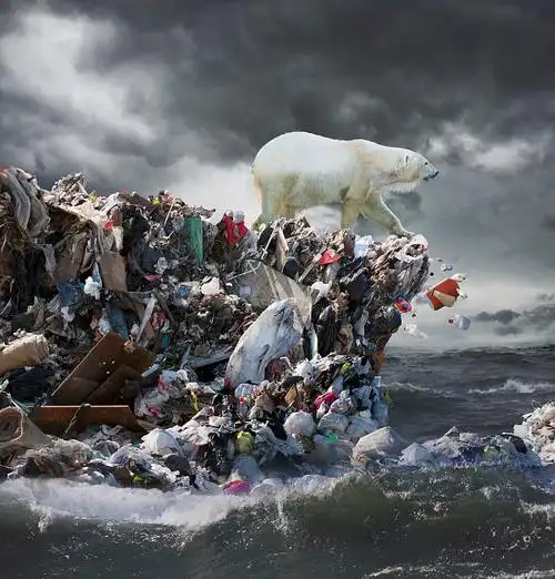 北极熊垃圾挑战图片下载