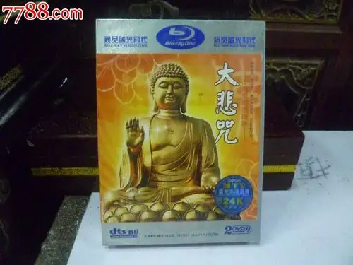 正宗原版原人原唱(南阿弥多佛大悲咒(24k德国金碟2vcd片)