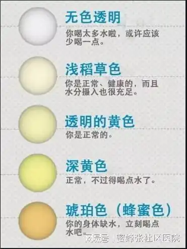 尿液颜色有12种,代表身体不同状况|肾脏|脱水|棕色|分泌物|色素_网易