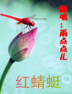红蜻蜓