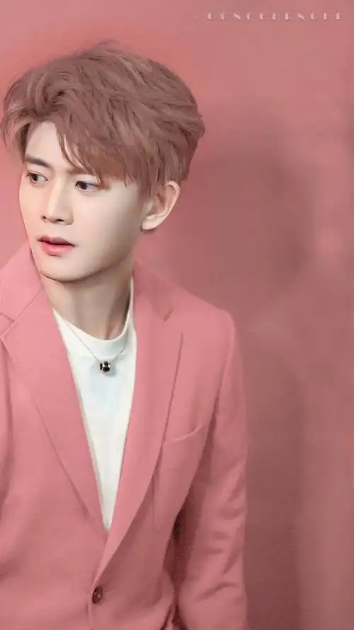 任嘉伦粉色系壁纸