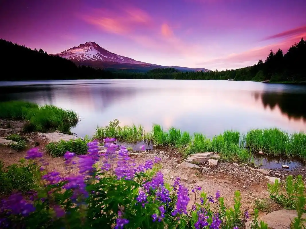 这些美丽的景色,好看又漂亮,欢迎来欣赏一下!