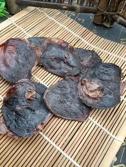 猫胎盘功效与作用