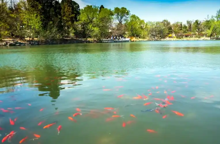 湖面美景自然风景    打开微信,使用"扫一扫"即可将网页分享之朋友圈