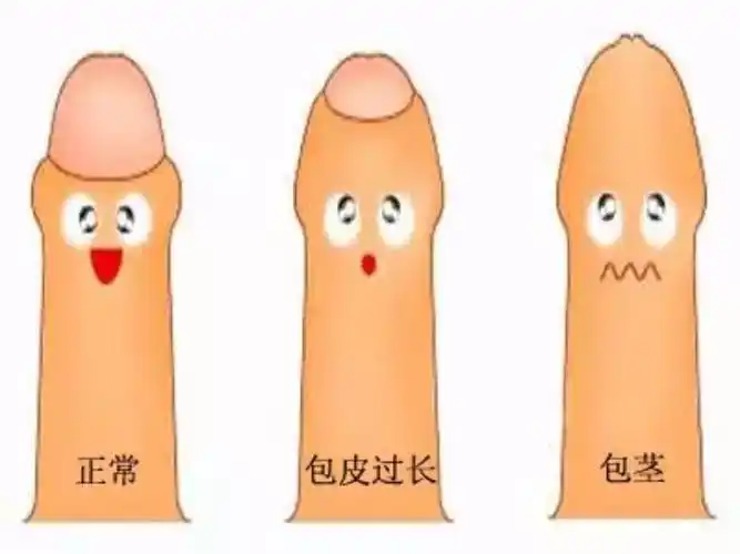 手术干货在此,拿走不谢!