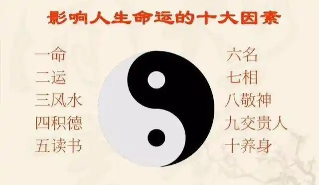 数字财富学--了解人生运势,趋吉避凶,简单有效百万人受益