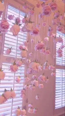 壁纸.小清新.少女心.粉色.小确幸.