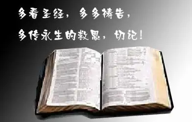 为什么要读圣经 - 小树林的日志 - 网易博客