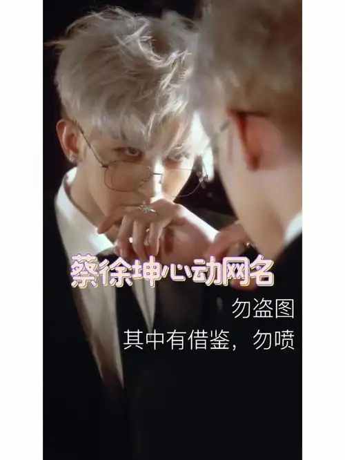 蔡徐坤心动网名