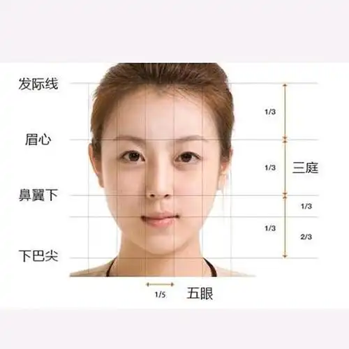 在我们的审美当中,拥有一张接近标准三庭五眼比例的脸会让人看起来更