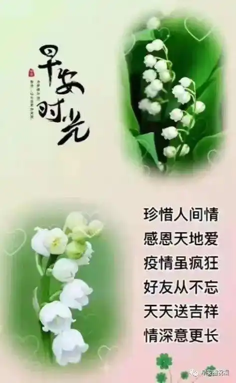 9张早安抗疫问候祝福精选图文愿疫消云散愿人间安然无恙