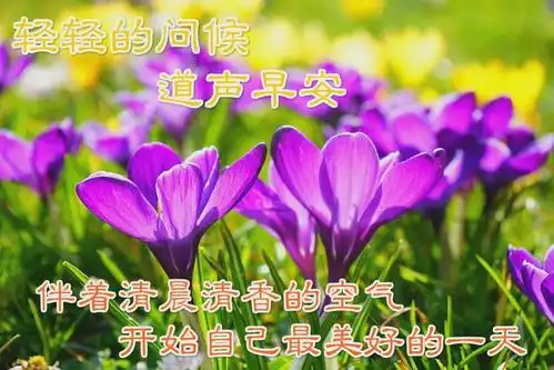 2020-09-03 · 洋洋生活 分享到 x 用微信扫描二维码 分享至好友和