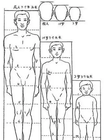 速写人物教程之认识速写人物(比例)