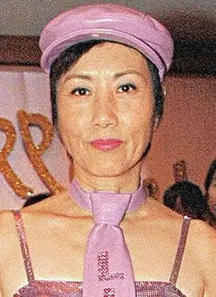 梅艳芳与胞姐同患癌症 入住"罗文病房"(组图)