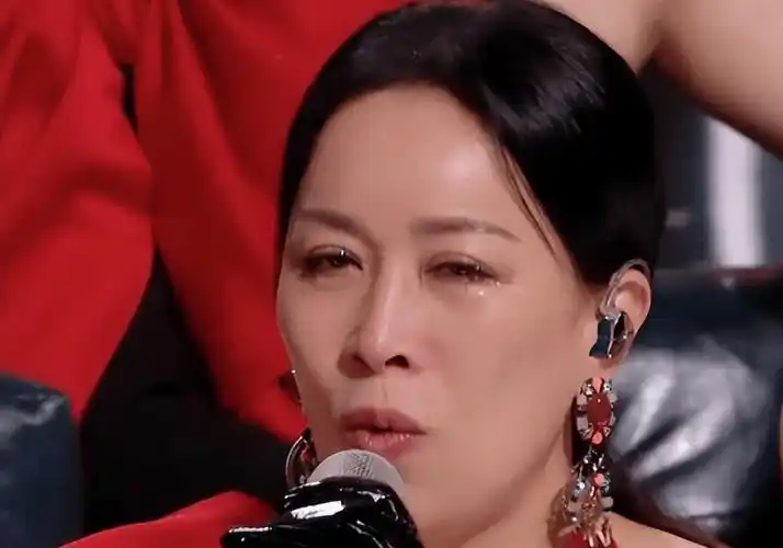 国家立场不明确的那英,不再被世界所宽容_声音_中国_节目