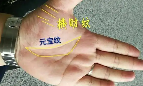 这种手纹是凤毛麟角,但是有元宝纹的男人,事业运势,财运势和婚运势等