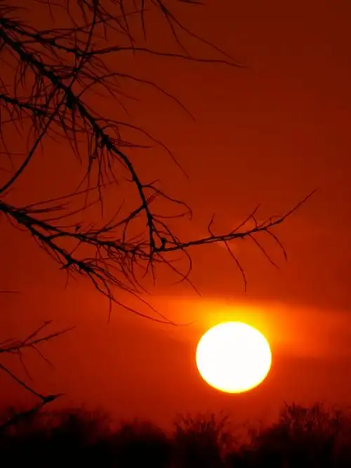 请君欣赏中卫香山湖湿地公园傍晚的夕阳红景致,美的真是让人陶醉