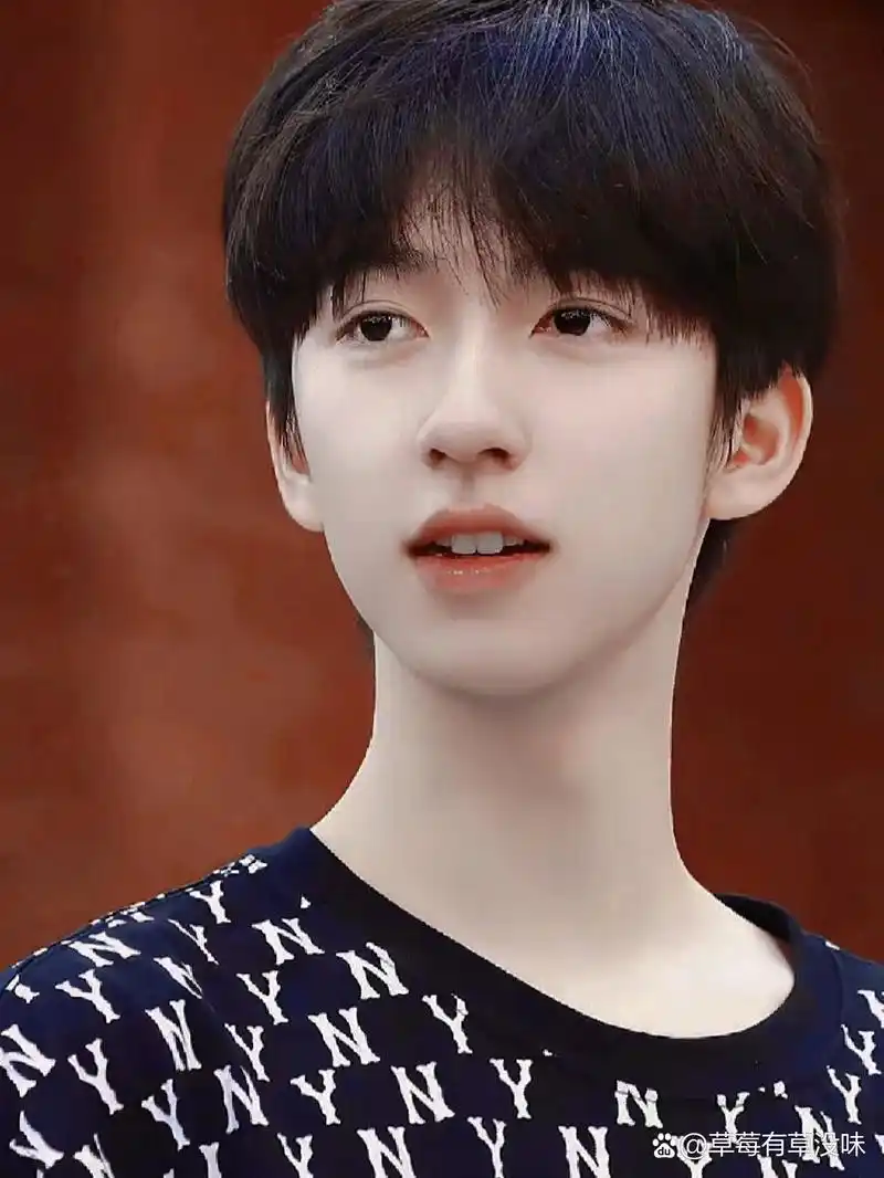 贺峻霖神图第十七弹