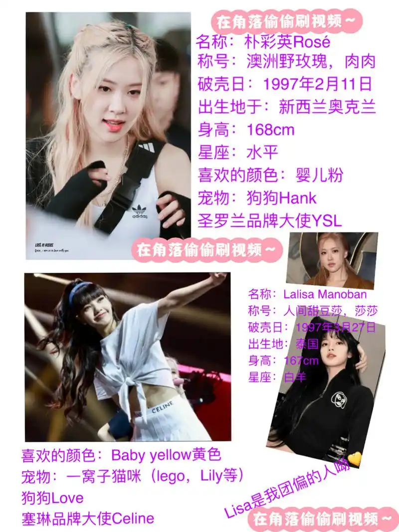 blackpink全员资料来喽 🈲️盗贼,如果要的话,必须在评论区艾特我