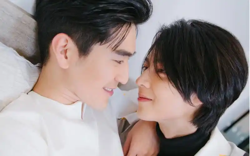 history4呈仁cp猫猫狗狗的爱恋直播糖集