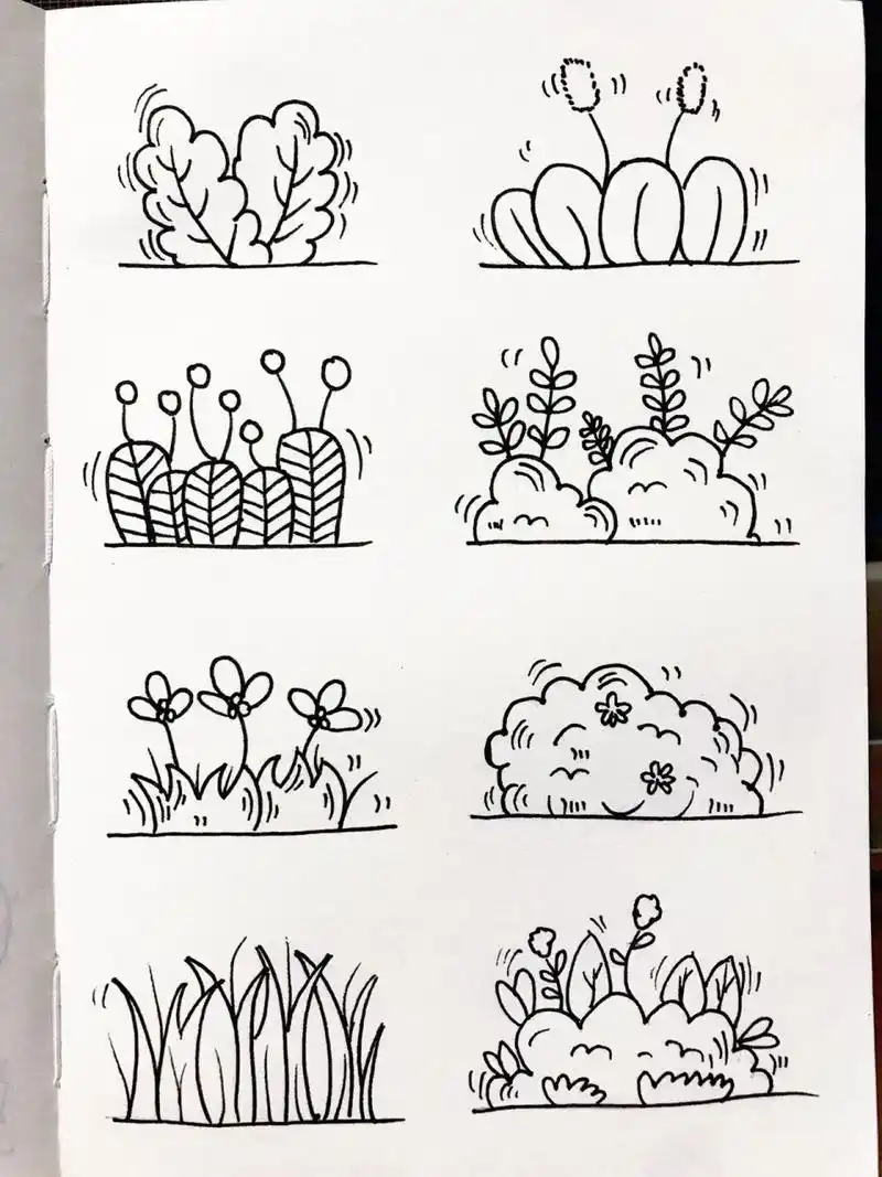 画画203|简笔画|植物篇——小草02 适合新手临摹 容易下手简单简笔