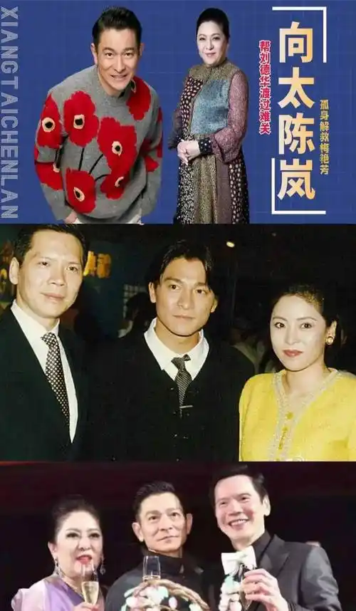 向太晒出和刘德华老婆朱丽倩的聊天记录,朱丽倩对华仔