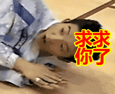 求求你了表情包动态gif表情图片 - 找表情上表情家