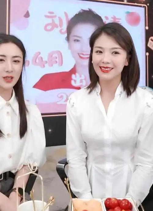 刘涛的逆变史:从被嘲讽到"国民媳妇",她经历了什么?