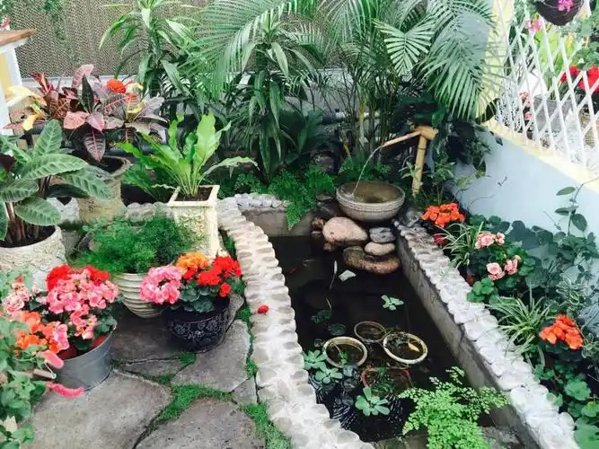 26个乡村"庭院小花园",网友直呼:我要回农村建园子!