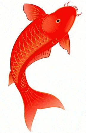 290_450竖版 竖屏gif 动态图 动图